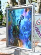2024-Plakatausstellung-Lyss-9