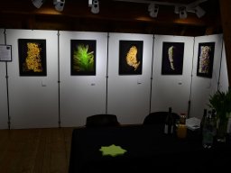 2022-Lyss-Kunstausstellung-9