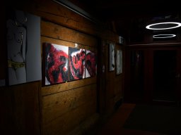 2023-Kunstausstellung-Sieberhuus-2