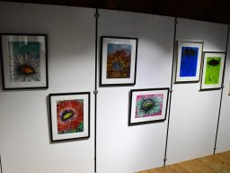 2023-Kunstausstellung-Sieberhuus-27