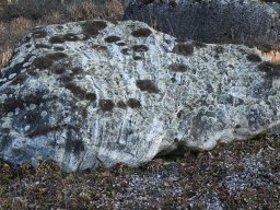 Walliser-Gneis