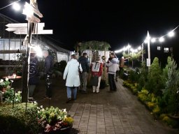 2022-Leonotis-Adventsausstellung-1