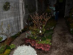 2022-Leonotis-Adventsausstellung-14