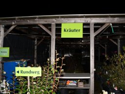 2022-Leonotis-Adventsausstellung-15
