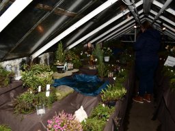 2022-Leonotis-Adventsausstellung-20