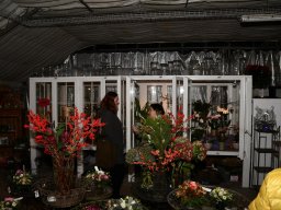 2022-Leonotis-Adventsausstellung-30