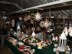 2022-Leonotis-Adventsausstellung-36