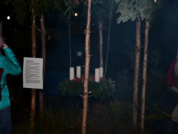 2022-Leonotis-Adventsausstellung-5