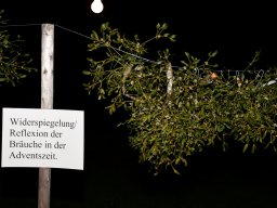 2022-Leonotis-Adventsausstellung-7