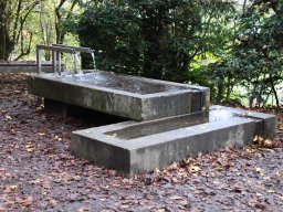 Brunnen-Linde-Scheibenweg-Kiener-Alfred-um-1960