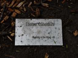 2018-Kunst-Vullierans-29
