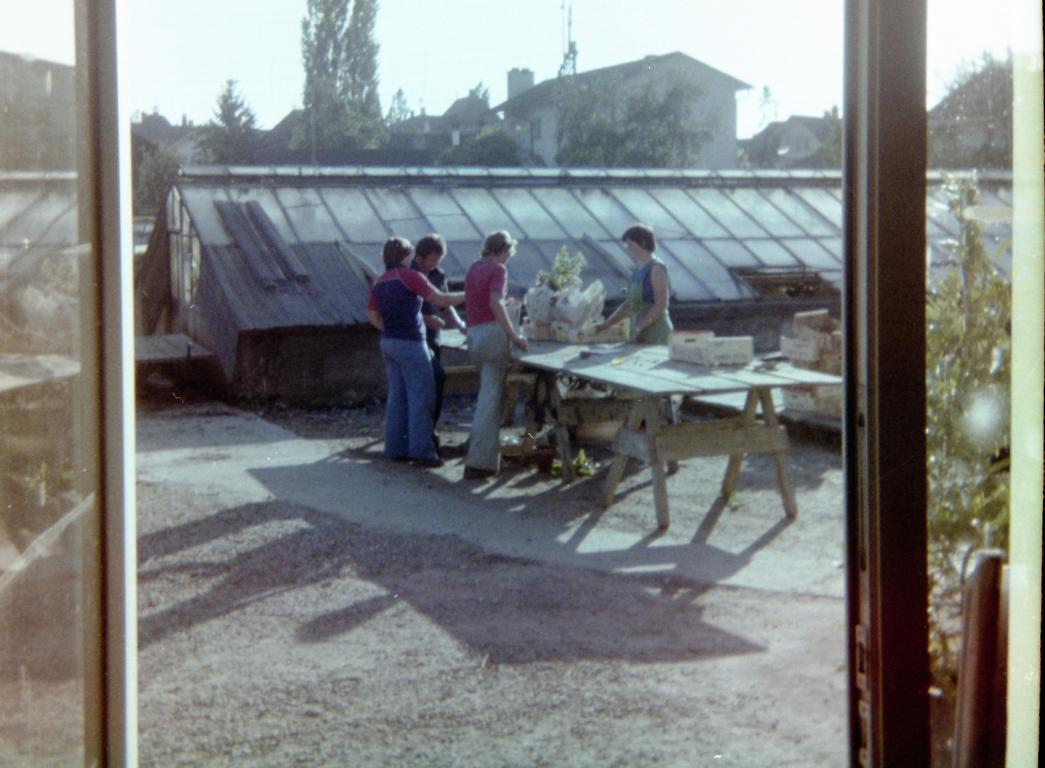 1977 78 Lehre 2