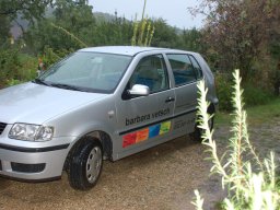 2007-Starkregen-Twann-10