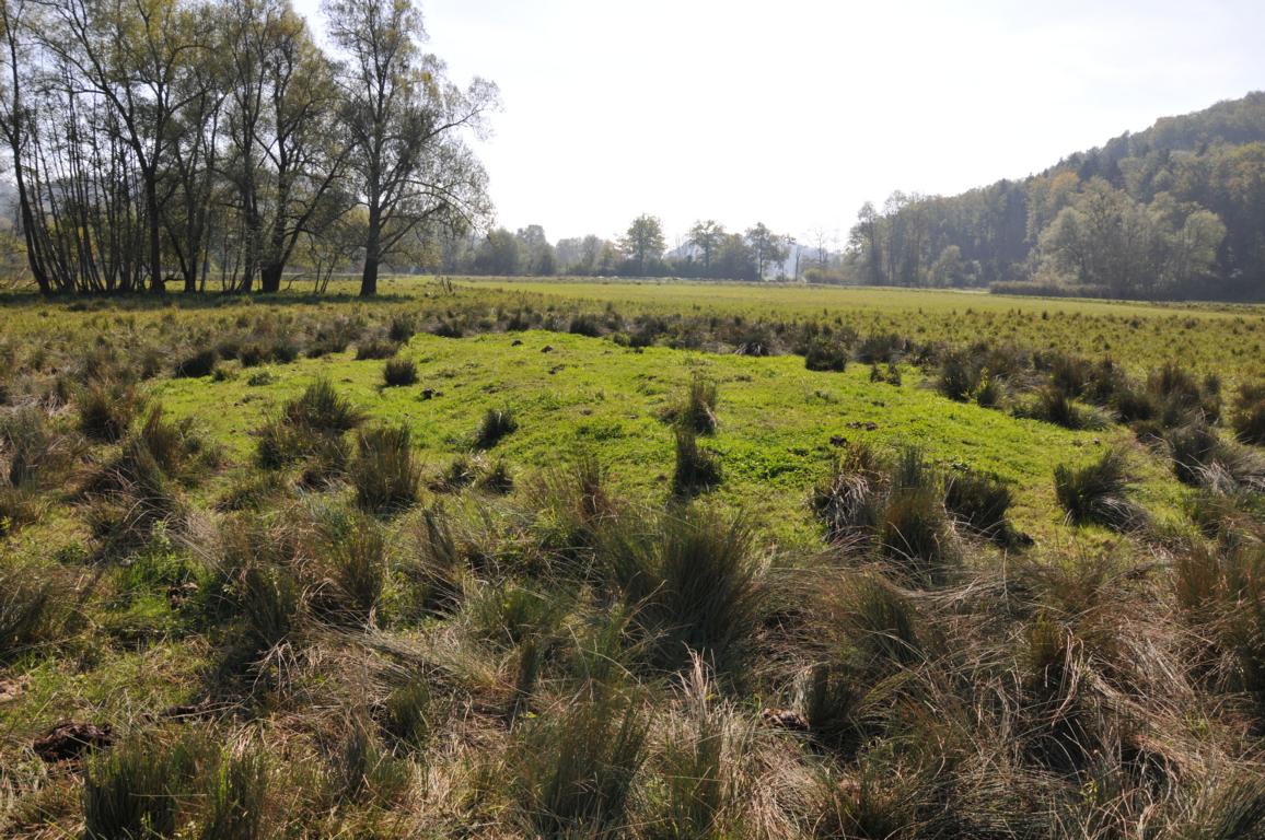 2014 9 Oltigenmatt 2