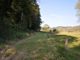 2014-9-Oltigenmatt-10