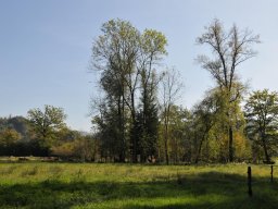2014-9-Oltigenmatt-11