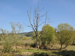 2014-Oltigen-1
