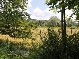 2014-Oltigen-13