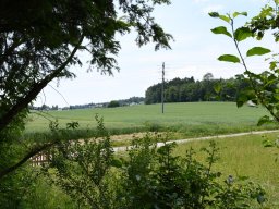 2021-ammann-patthey-42
