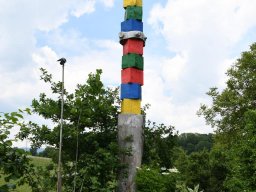 2021-ammann-patthey-49
