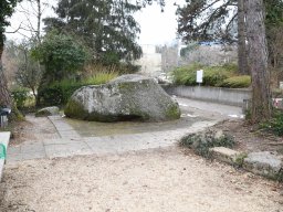 2024-Walkermatte-Schulhaus-14