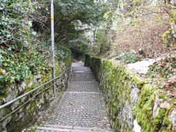 2024-Harry-Borer-Weg-11