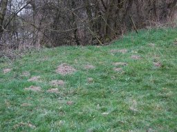 2007-Abbruch-Hagneckkanal-10