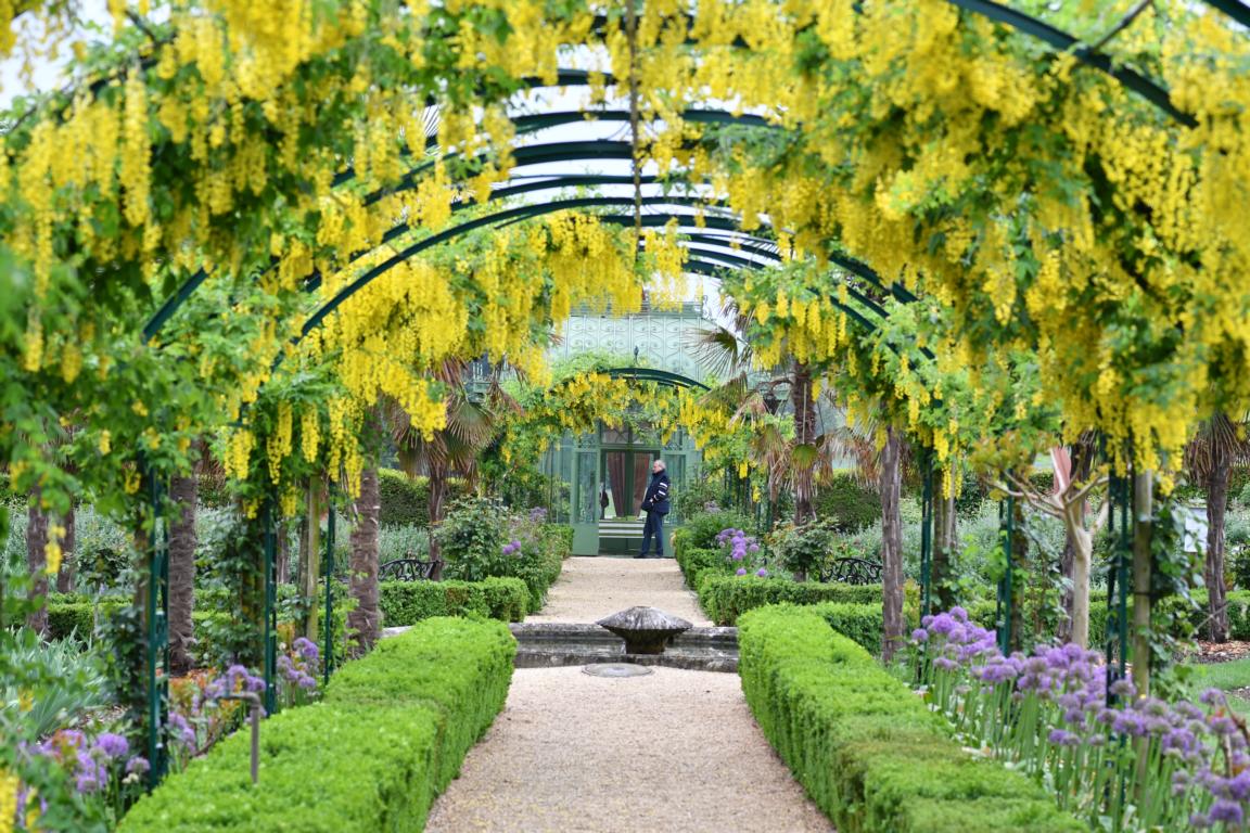 2018 Laburnum Vullierans 2