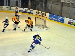 2012-01-02-Lyss-Wiki-8