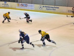 2012-01-11-Lyss-Burgdorf-11