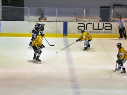 2012-01-11-Lyss-Burgdorf-15