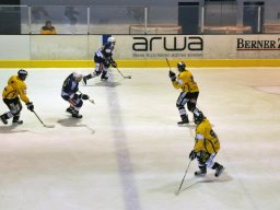 2012-01-11-Lyss-Burgdorf-17