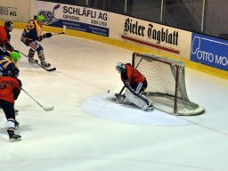 2013-02-14-Lyss-Aarau-22
