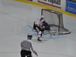 2014-01-29-Lyss-Basel-12