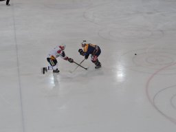 2014-01-29-Lyss-Basel-14