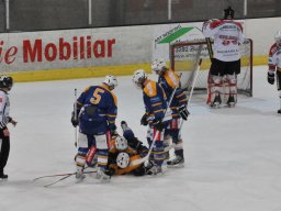 2014-02-20-Lyss-Basel-10