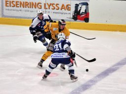 2014-12-22-Lyss-Burgdorf-3