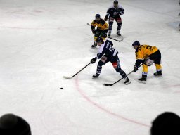 2024-11-20-Lyss-Langenthal-11