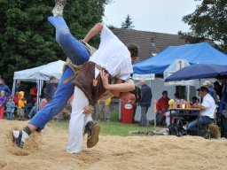 AMH_3779