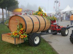 2010-Frauenfeld-Impressionen-8