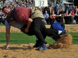 2013-esaf-24