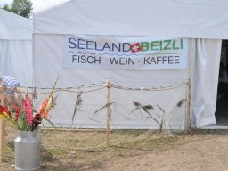 2013-esaf-68