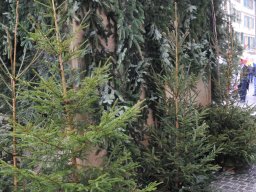 2013-Murten-Weihnachtsmarkt-17